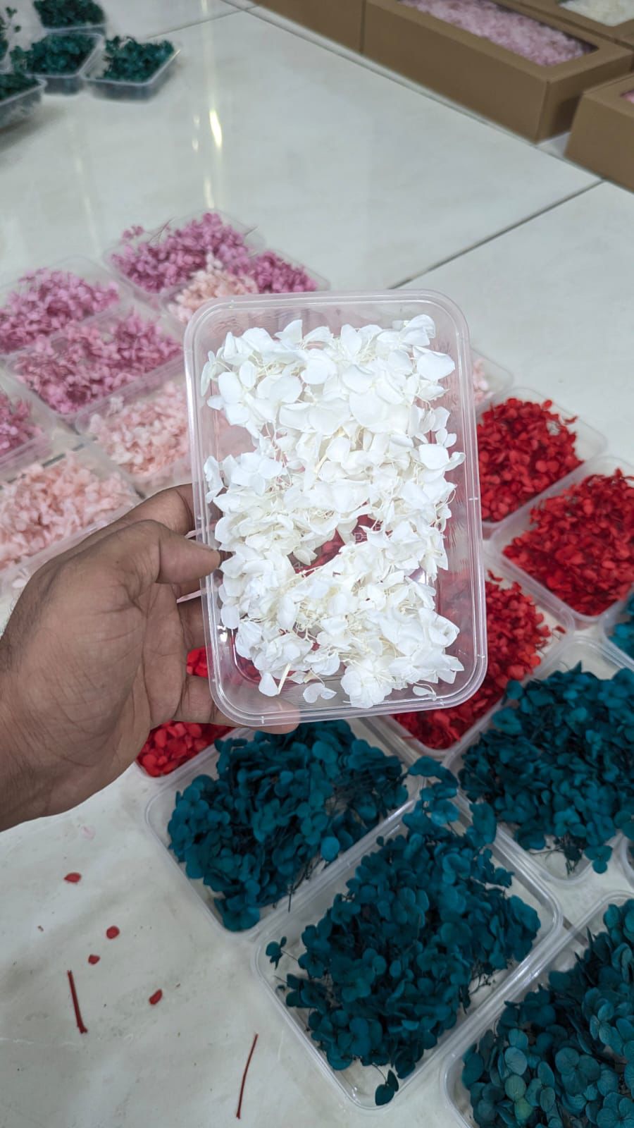 White Hydrangea Flower Box for Cake Decorating | Elegant White Floral Cake Decoration