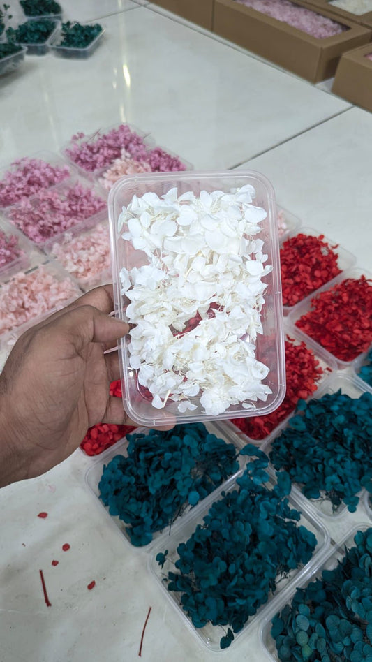 White Hydrangea Flower Box for Cake Decorating | Elegant White Floral Cake Decoration