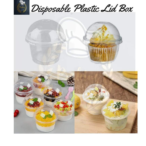 Disposable Plastic Lid Box Pack Of 10 Pcs