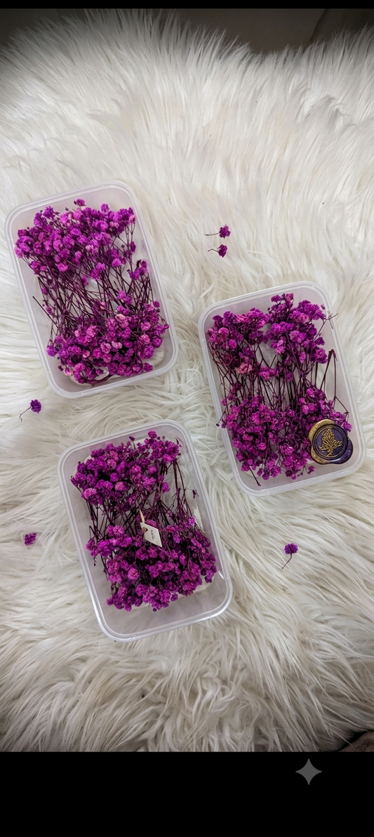 Purple Dried Baby Breath Box | Preserved Flowers for Cake Decoration & Crafts