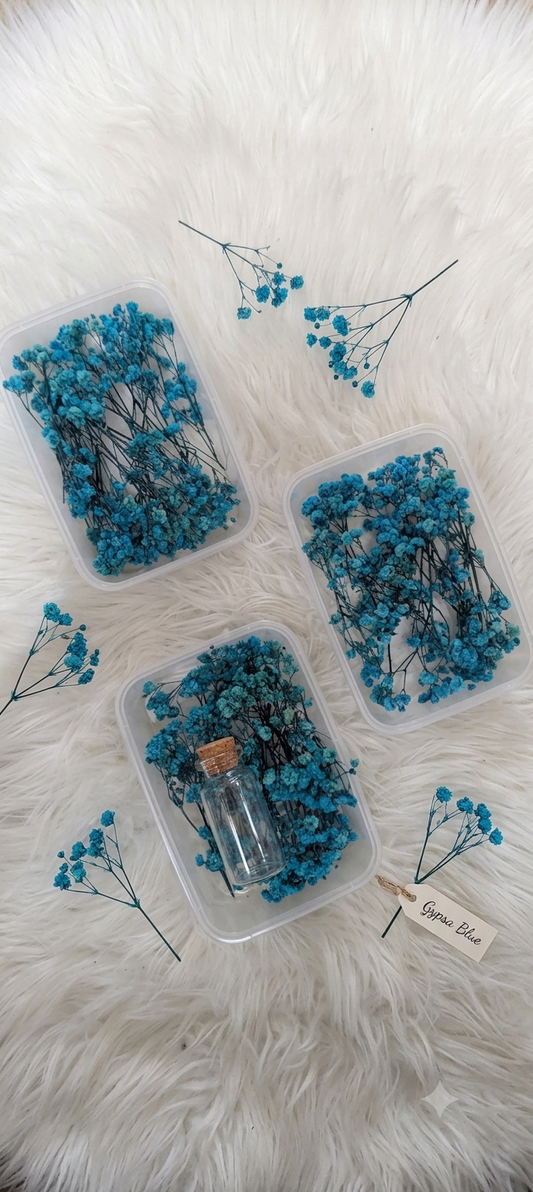 Sea Green Dried Baby Breath | Preserved Gypsophila Flowers for Cake Decoration & Crafts