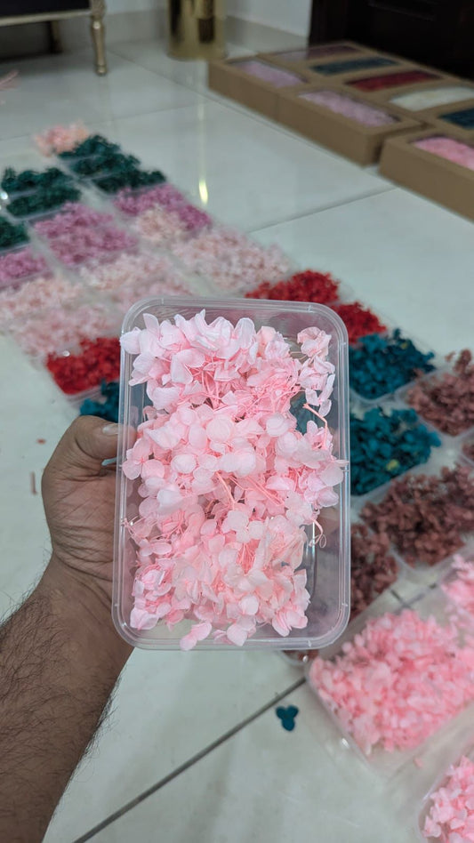 Baby Pink Hydrangea Flower Box for Cake Decorating | Soft Pink Floral Cake Decoration
