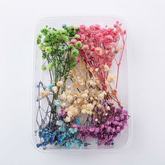 Multi Baby’s Breath Flowers Box for Cake Decorating | Colorful Floral Cake Decoration for Wedding & Celebration Cakes